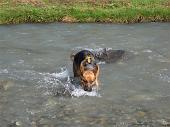 28 che buona questa acqua!